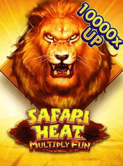 T20 World Cup cricket betting cover